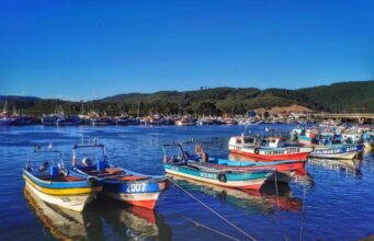 Abren nuevas convocatorias para fortalecer la pesca artesanal y acuicultura de pequeña escala