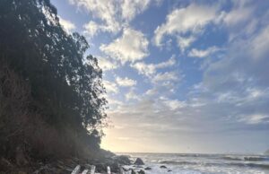 Hallazgo de restos en playa Chivilingo reaviva incertidumbre en el caso Bruma