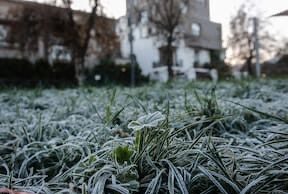 Meteorología emite aviso por heladas: hasta -4° en Biobío