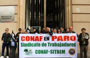 Renuncia directora de la Conaf en medio de paro indefinido de trabajadores