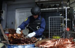 Desarticulan banda criminal dedicada a la receptación y venta ilegal de cobre en Biobío