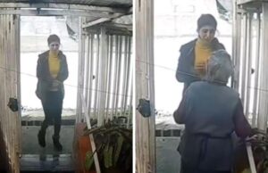 Adulta mayor fue víctima de asalto en Lota: Leonardo Farkas anunció ayuda económica para la mujer de 92 años