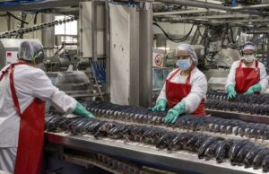 Pescadores industriales del Biobío respaldan a empresas que recurrirán a tribunales por Ley de Fraccionamiento