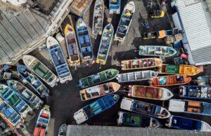 Biobío avanza hacia una pesca más justa con la promulgación de la Ley de Fraccionamiento Pesquero