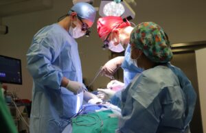 Gobierno Regional del Biobío y Servicio de Salud de Talcahuano impulsan proyectos para reducir listas de espera en la red asistencial