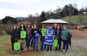 Usuarios del Hospital de Coronel acceden a medicina ancestral en la Región de La Araucanía