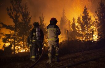 Declaran alerta roja en Alto Biobío por incendio en Reserva Nacional Ralco