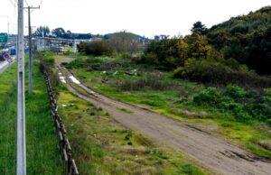 Municipio de Concepción habilitará terreno frente al Estadio Ester Roa para estacionamientos por Fondas 2025