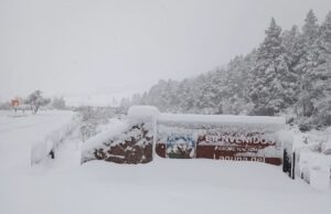 Confirman que acceso al Parque Nacional Laguna del Laja estará habilitado este domingo