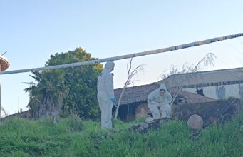 Encuentran sin vida a adulto mayor que había desaparecido en Hualpén: conductor de colectivo está detenido por el crimen