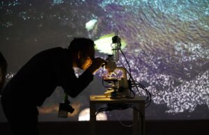 Seminario busca repensar la mediación de las artes visuales como puente entre creación y territorio