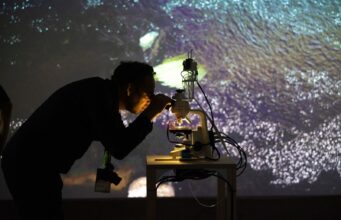 Seminario busca repensar la mediación de las artes visuales como puente entre creación y territorio