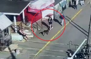 Mujer huyó con hijo recién nacido desde hospital de Coronel: la madre contaba con orden de alejamiento