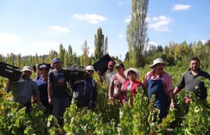 Callaqui y Callejones se incorporan al Programa para Pequeñas Localidades