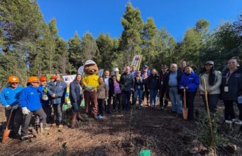 Plantan 1.400 árboles nativos en el Parque Metropolitano Cerro Caracol
