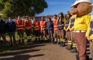 Lanzan convocatoria regional para brigadistas forestales en el Biobío