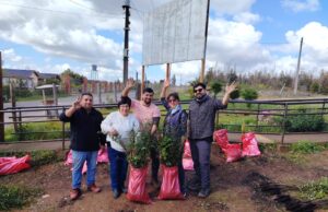 Comuna de Tomé fortalece reforestación con entrega de más de 6.000 árboles nativos