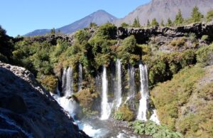 Biobío invita a disfrutar de la naturaleza con entrada liberada a parques este 28 de septiembre