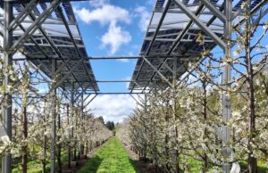 Biobío entre las regiones con mayor presencia en el Concurso de Innovación de la Ley de Riego