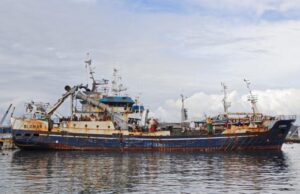 Sumario de Armada por Caso Bruma: acusa a capitán del Cobra y piden cancelar de por vida su licencia