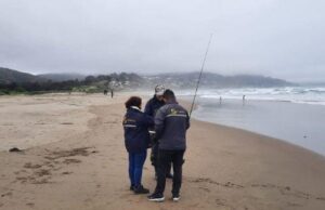 La corvina entrará en veda extractiva durante octubre y noviembre