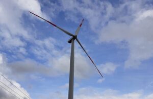 Formulan cargos contra Central Eólica La Esperanza por incumplimientos que afectarían a la avifauna