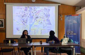 Cartografía revela brechas y desafíos de las artes visuales en el Biobío