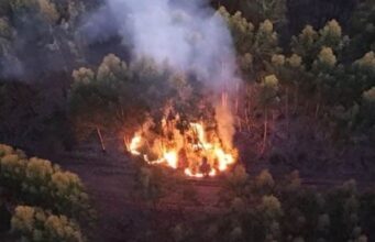 Alertan por focos de incendio en dos puntos al interior de un predio de la empresa Arauco