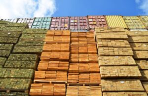 Forestales manifiestan “profunda preocupación” por aranceles de Trump a la madera: “Impactará a pequeñas y medianas empresas”