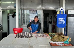 Tras un mes de veda, vuelve la merluza común