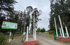 Construirán brigadas en Arauco y Los Ángeles para fortalecer combate de incendios forestales