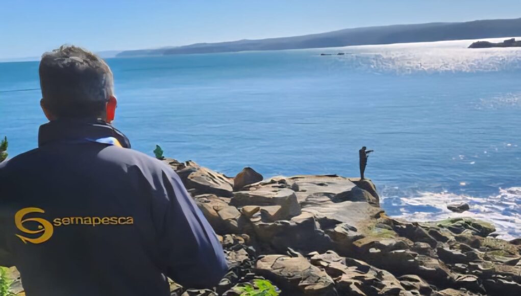 618fcf47-92cf-4574-bf50-991e1c1c66d4