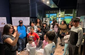 Noche de Museos 2025 invita a recorrer el patrimonio del Biobío bajo las estrella