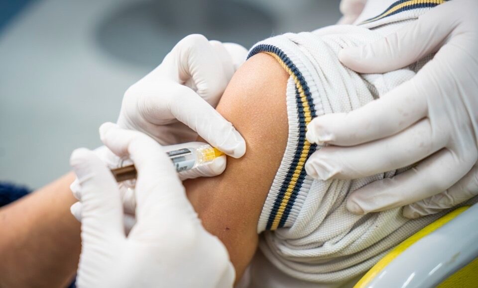 8631353c-51a1-4a11-889d-7ddbbf5f34ba