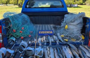 Realiza fiscalización a la pesca recreativa en la Laguna del Laja