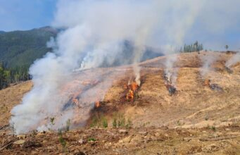 CONAF restringe el uso del fuego para quemas controladas en toda la Región del Biobío