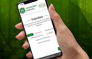 Carabineros explica que alta demanda es la causa de la caída de Comisaría Virtual