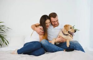 Cámara aprueba permiso laboral en caso de muerte de una mascota