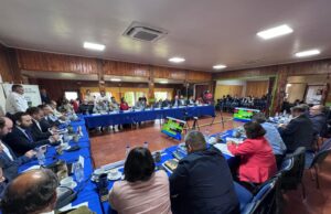 Aprueban $12.800 millones para reforestación y prevención de incendios forestales en Biobío