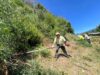 Refuerzan seguridad en el Cerro Manquimávida con 12 km de cortafuegos