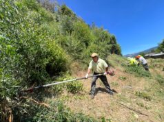 Refuerzan seguridad en el Cerro Manquimávida con 12 km de cortafuegos