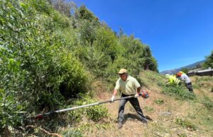 Refuerzan seguridad en el Cerro Manquimávida con 12 km de cortafuegos
