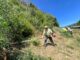 Refuerzan seguridad en el Cerro Manquimávida con 12 km de cortafuegos