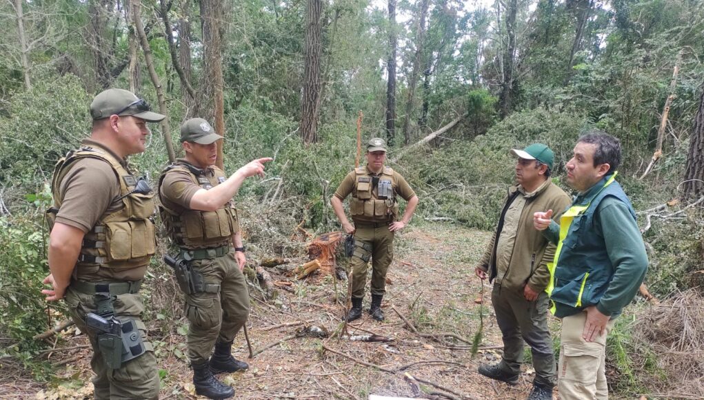 b82f3877-c1eb-4475-96ec-e6661f2e6feb