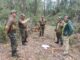 CONAF denuncia ante el Ministerio Público tala ilegal de bosque nativo en el Parque Nacional Nonguén