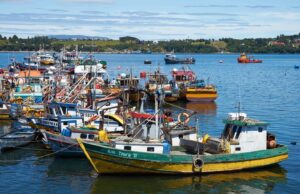 Comprometen plazo para implementar medidas que favorecen la pesca artesanal por Ley de Fraccionamiento