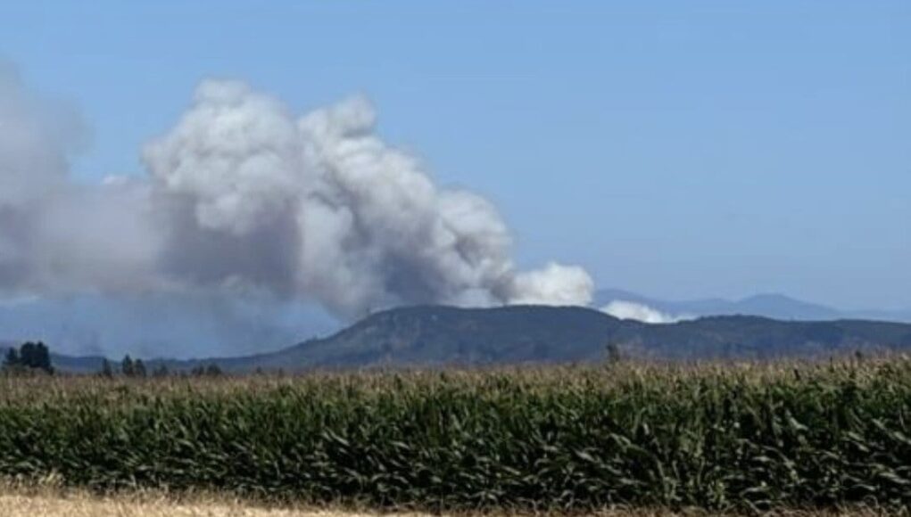 04a3b952-2b21-4f5f-8ab9-d4848840f037