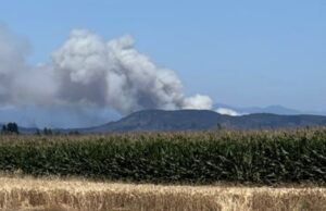 Declaran Alerta Roja en Mulchén por incendio forestal que amenaza a 200 viviendas