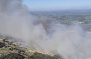Ordenan evacuación por incendio forestal en Los Ángeles: se reportan viviendas afectadas