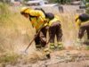 CONAF Y MOP ejecutarán 732 kilómetros de cortafuegos para prevenir incendios forestales en Biobío
